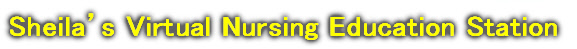 Sheila’s Virtual Nursing Education Station